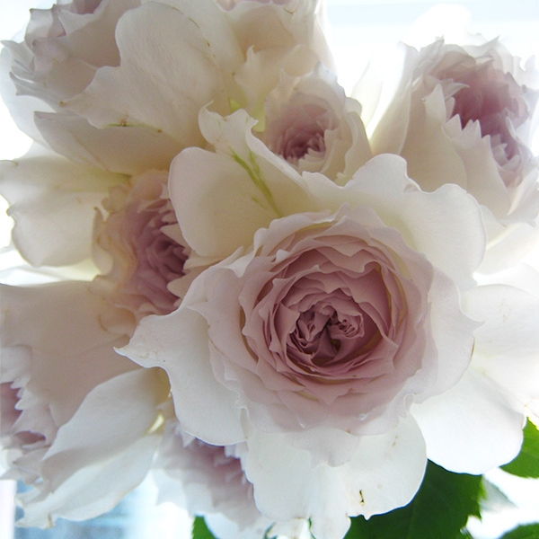 �ӱ��¼����Ӱ��С�