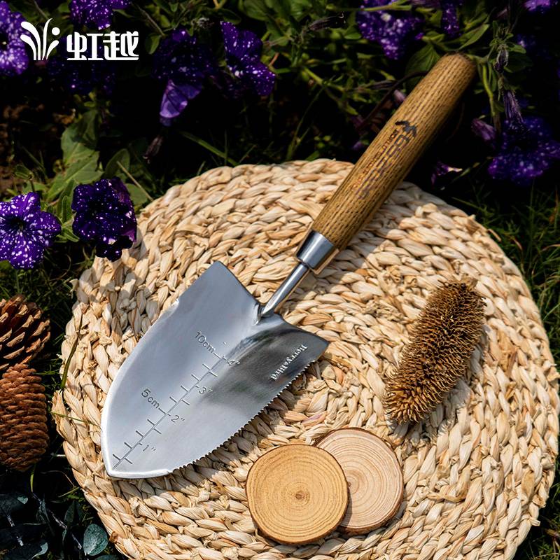 9001cc��ɳ�Գ�Ϊ��԰�ղ�