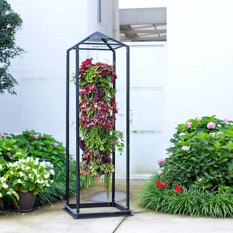 �������廨�� ����������