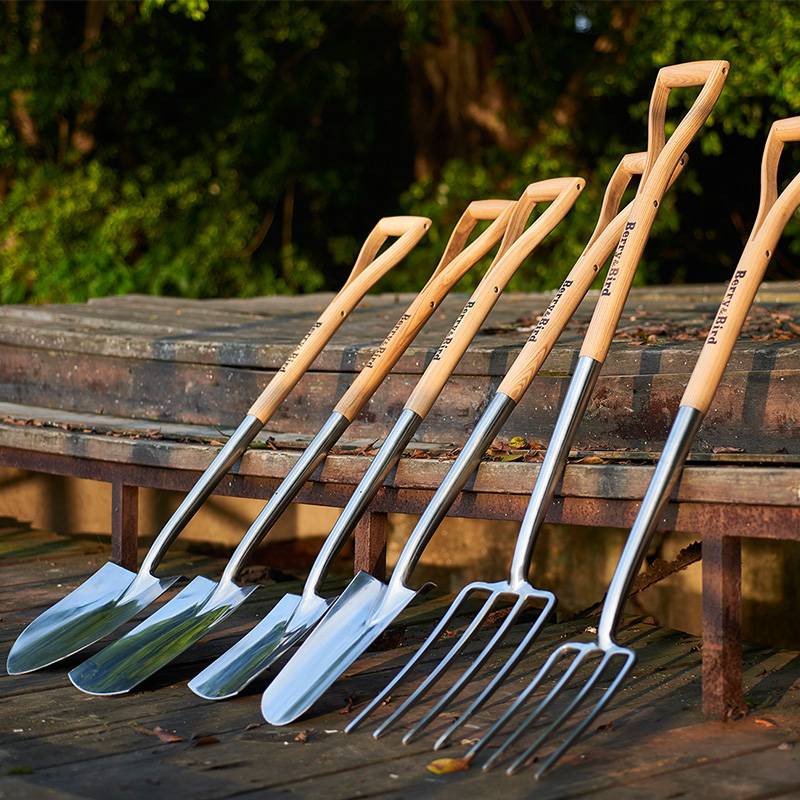 Berry&Bird�����ֲ����