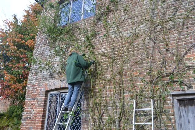 ���������⼸����������������ǽ~~