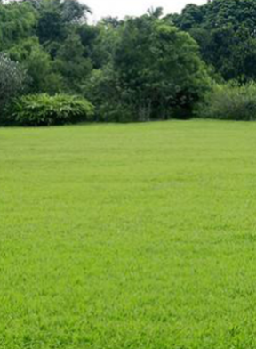 9001cc��ɳ�Գ�Ϊ��(�й�)���޹�˾����