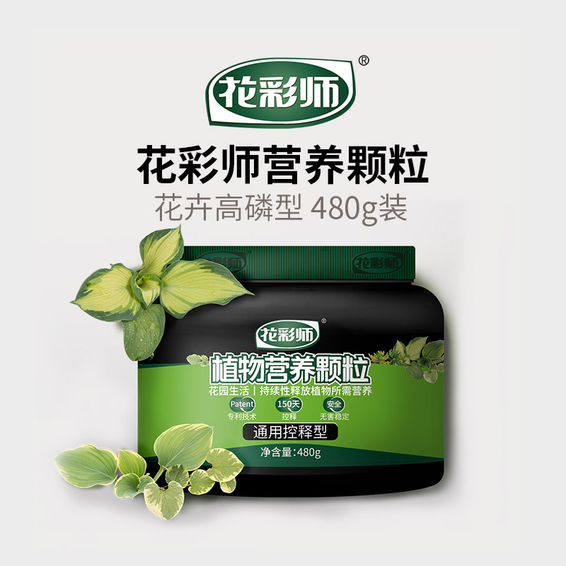 ����ʦӪ������