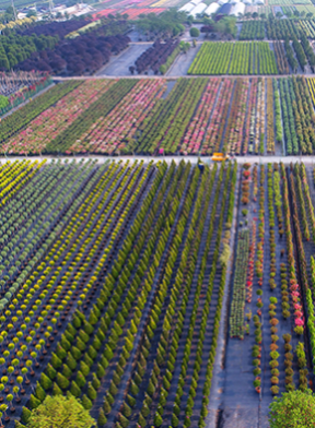 9001cc��ɳ�Գ�Ϊ��(�й�)���޹�˾����