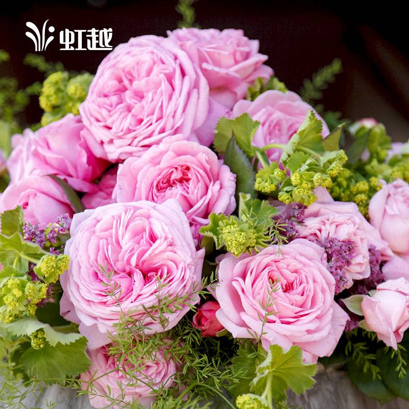 �Ƶ�˹�¼� ���������¡�