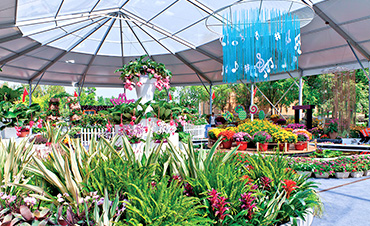 �人��������չ