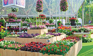 ��72.6�������9001cc��ɳ�Գ�Ϊ���н����ڻ�չ���������������󼶻�չ