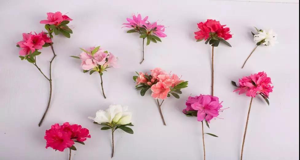 �༾�Ż��ı�����е������Ļ�԰����ɫ������