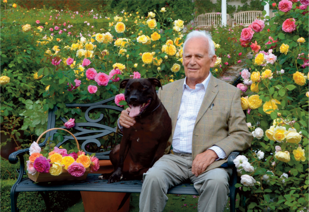 ��ֵ������ʷ����ȫ������˹͡ŷ��ָ��