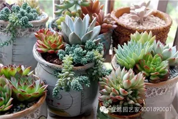 ������СҲҪ�и���԰�����գ�