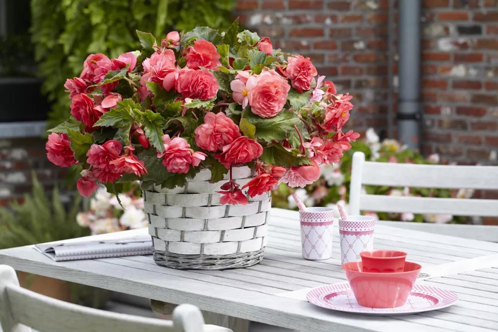 ����ĵ���������¼���������ĵ�ѡƷ������