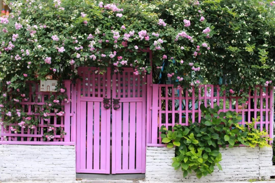 �����޿�ħ������ȫ�ֹ���԰�����ֿ����������챬�����