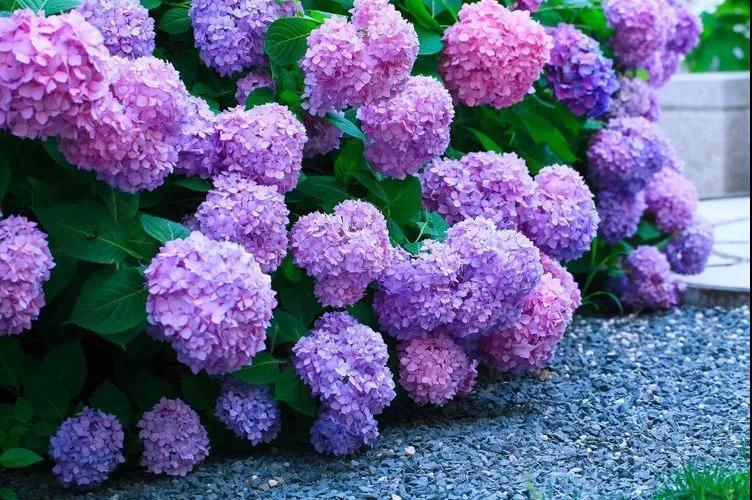 ���¡����֡���ô�ܳ�����ô��������