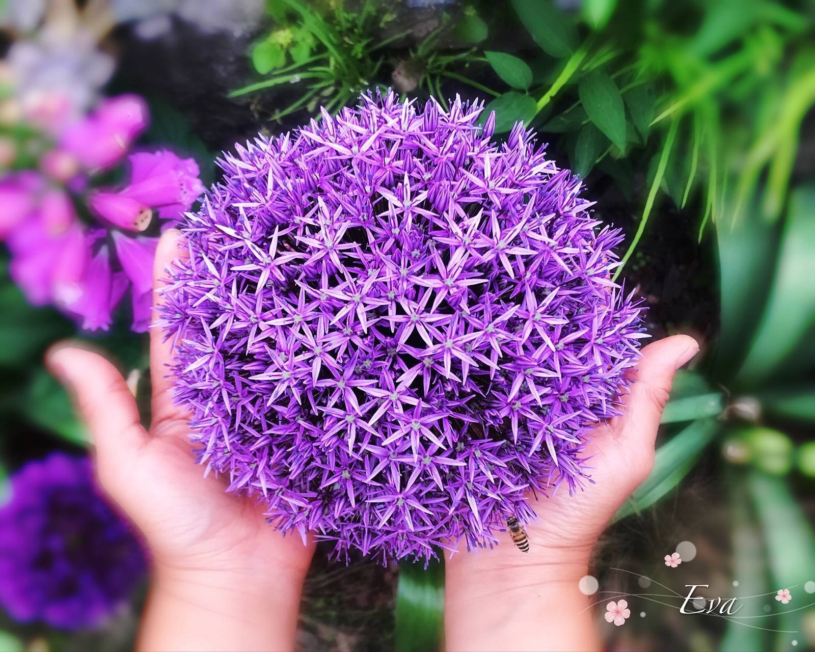 ���ڴ󻨴�������֪���Ķ����� | ������ܳ����֡��ʴ�ƪ��1��