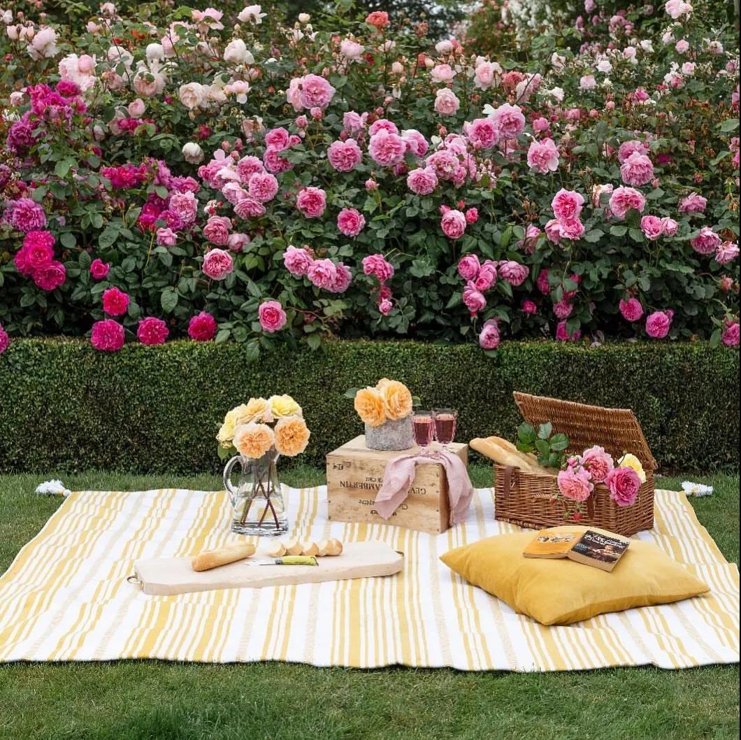 ���վ��»ƽ��������衢�޼�......��Щ��������и