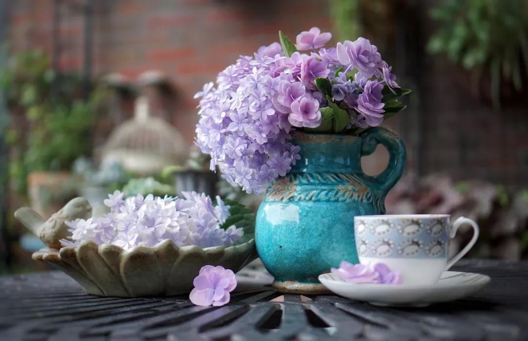 Ϊʲô���µ�������������