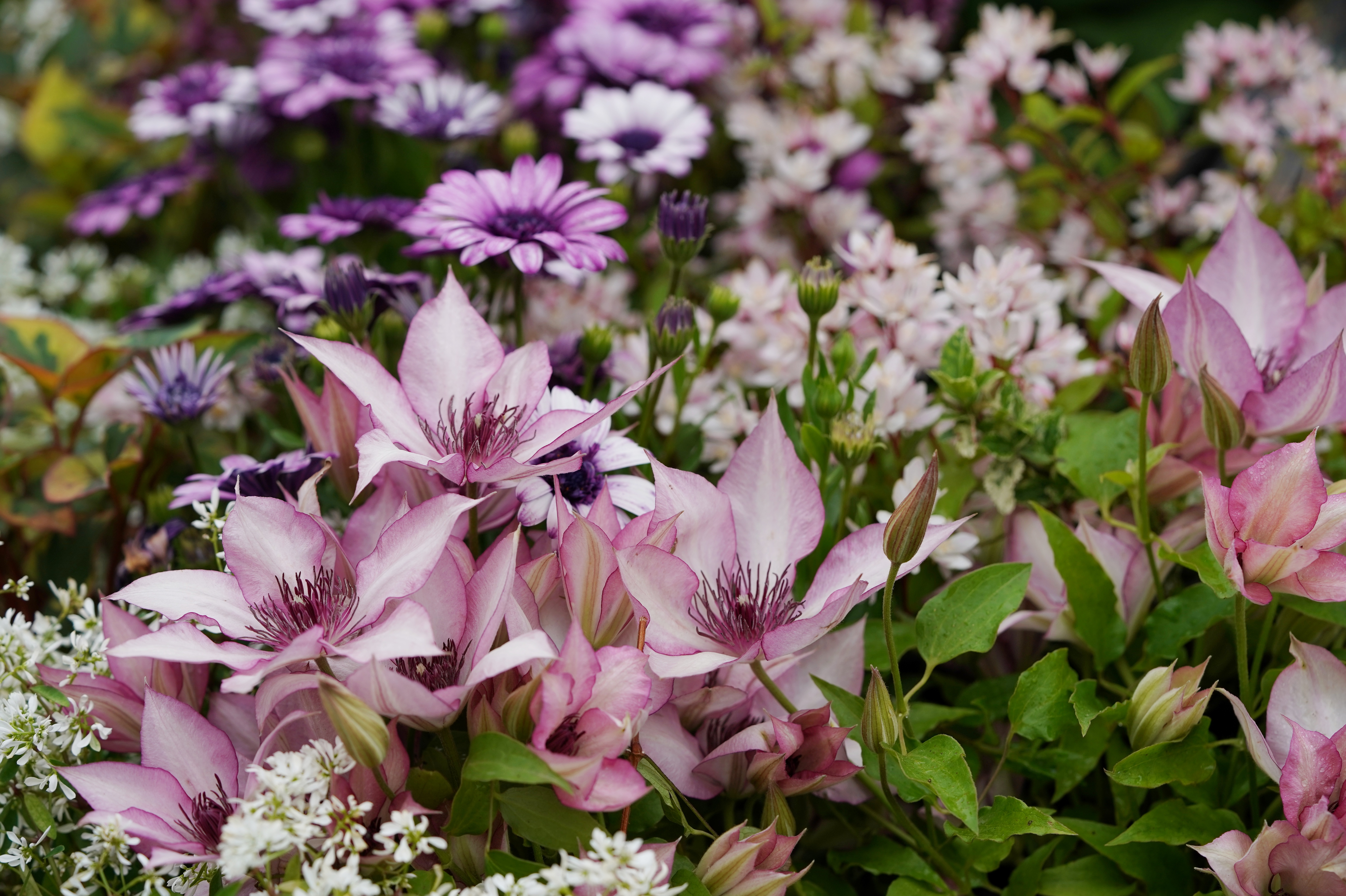 �����������ȲҴ������úõ�С����ô˵û��û