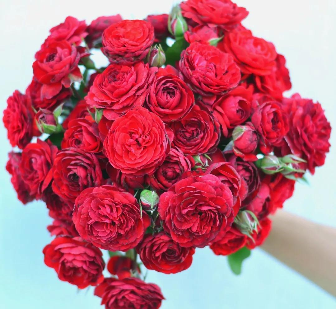 �������¼�����ѵ��Ӫ�����쵽��������Ϊ��������