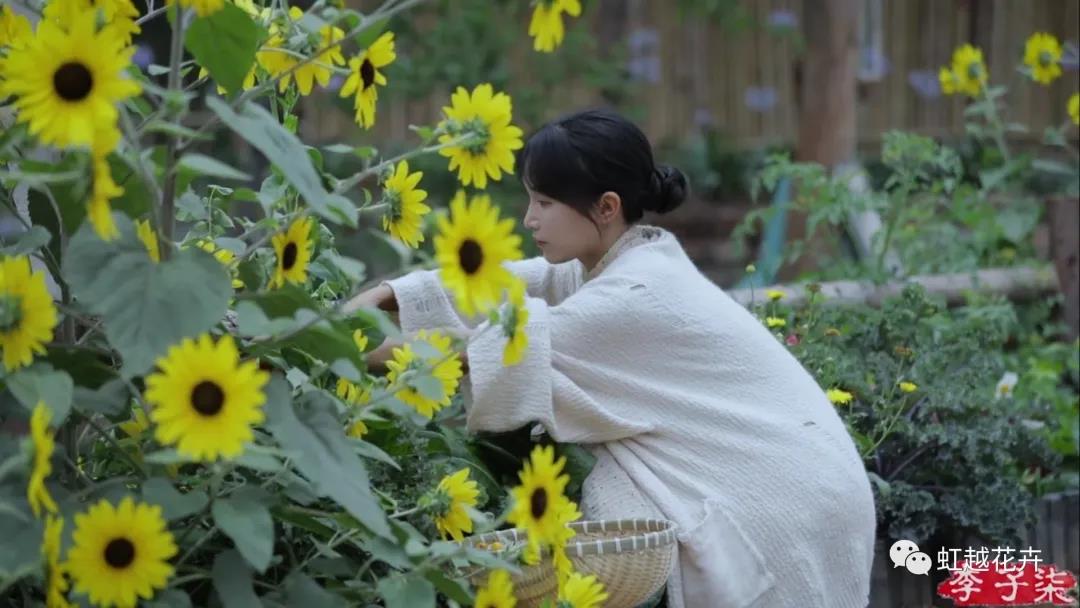 ����������տ�����Ȼ��֮ǰȫ�����ϻ�������