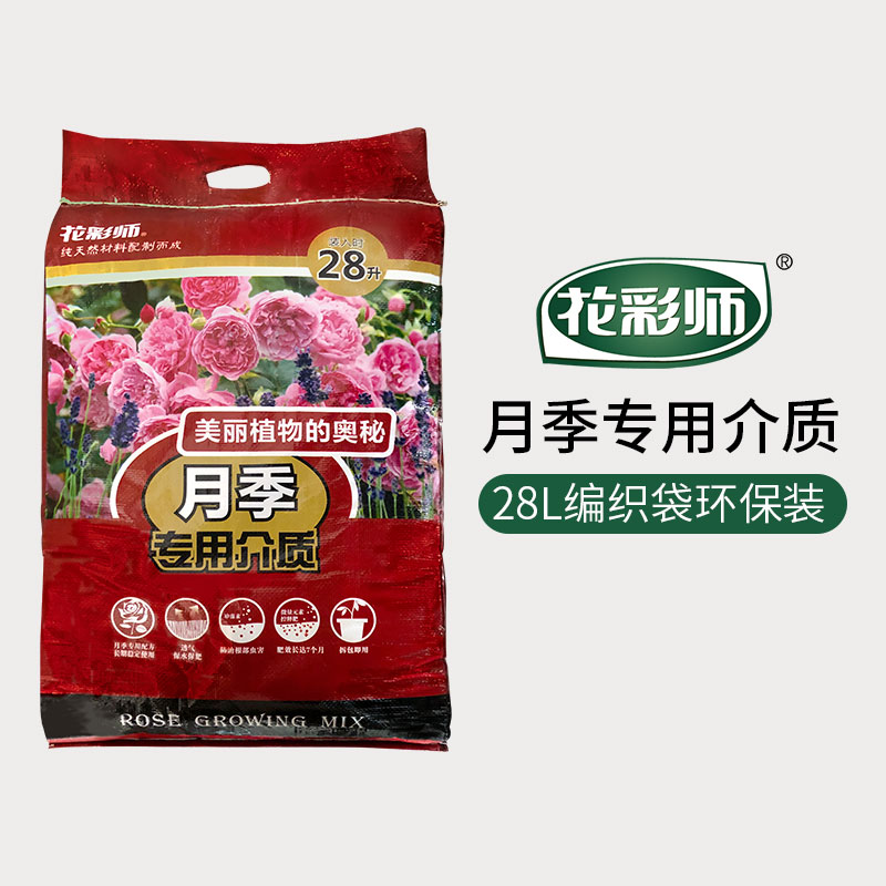 ����ʦ�¼�ר�ý���28L