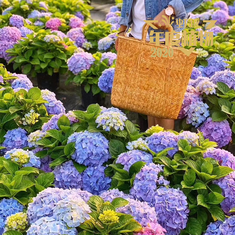 �׶��λ�����