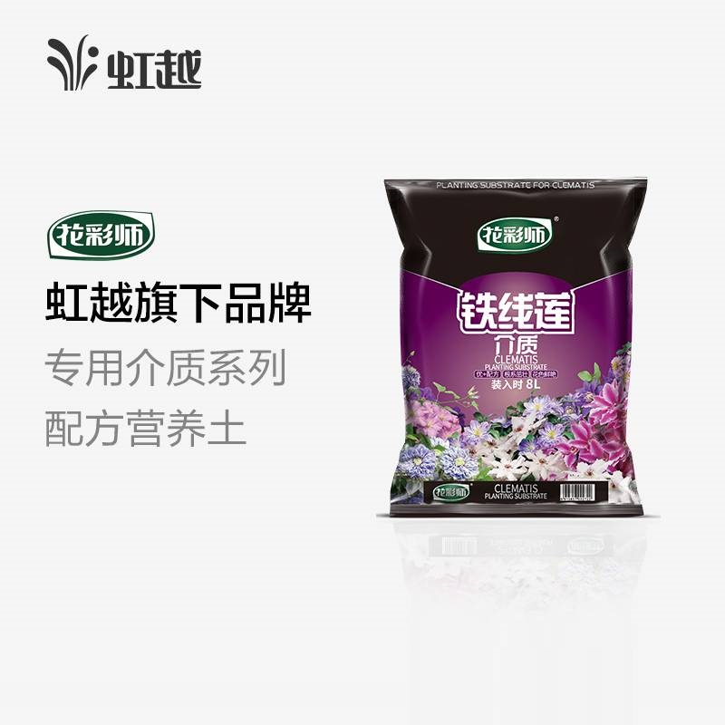 ����ʦ��+���������� 8L