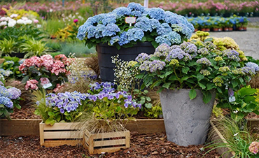 �������������������ƾ���ͨ��