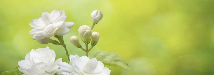 ���������������һ����������Щ��ϲ�����ǲ�֪����