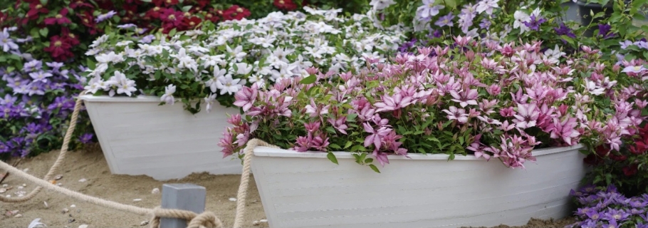 ������һ�����������С�����ڴ������ɳ�