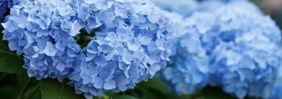 ��������ζ��������㶼����ʶ