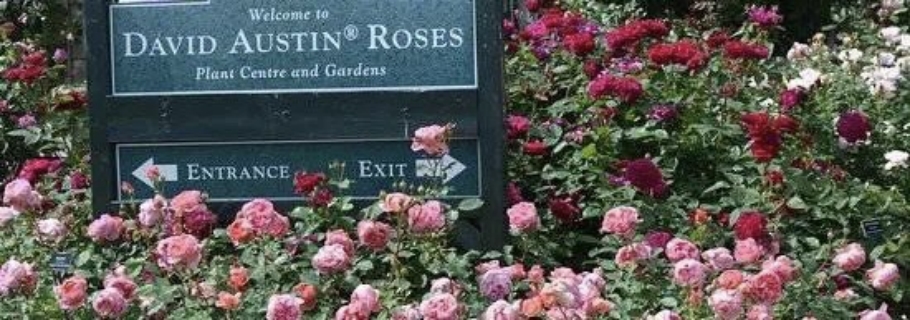 Ӣ����˹͡�¼���Ʒ��ǿ����������Զ��Ԥ���ذ��ع飡