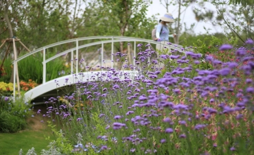 ��10�컨������9001cc��ɳ�Գ�Ϊ��ϲ��11��󽱣�