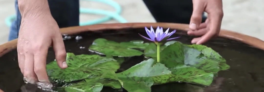 ����Ĵ��費Ҫ���� ������˯��������������