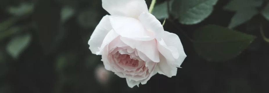 �����¼�Ĩѿ������������Ѿ�˵����~