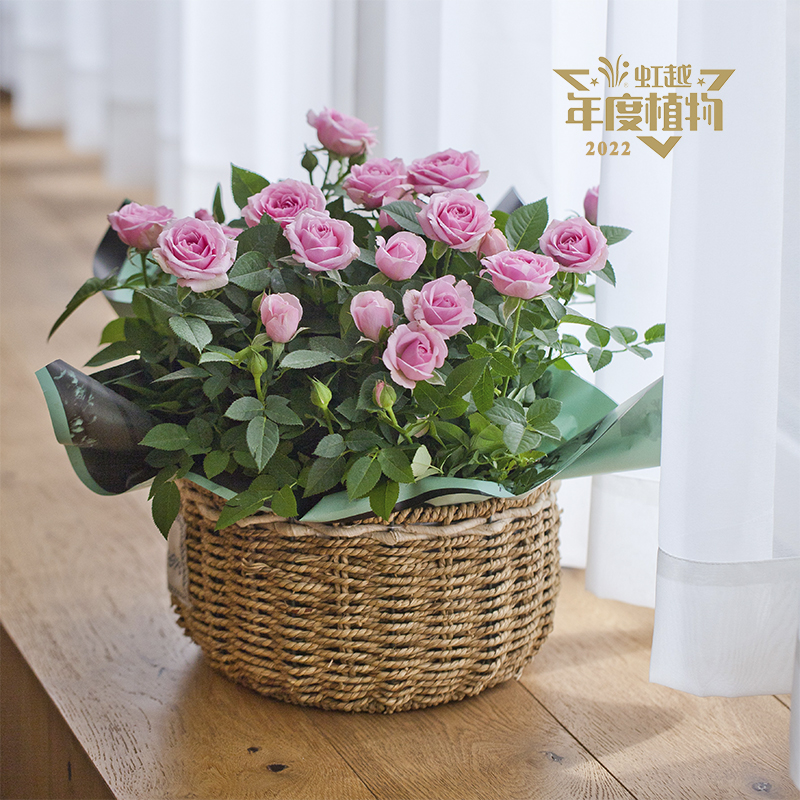 ����? õ�� 