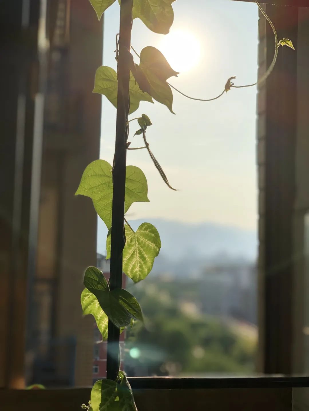 ���ڹر���̨���ֳ�����ǵص�ǣţ��Сɭ�֡�