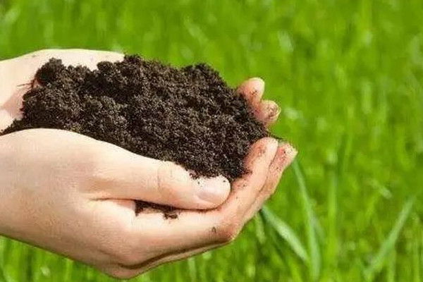 ��𻯷�ũҩ�����˵ġ���̬��԰�����������ɵ�