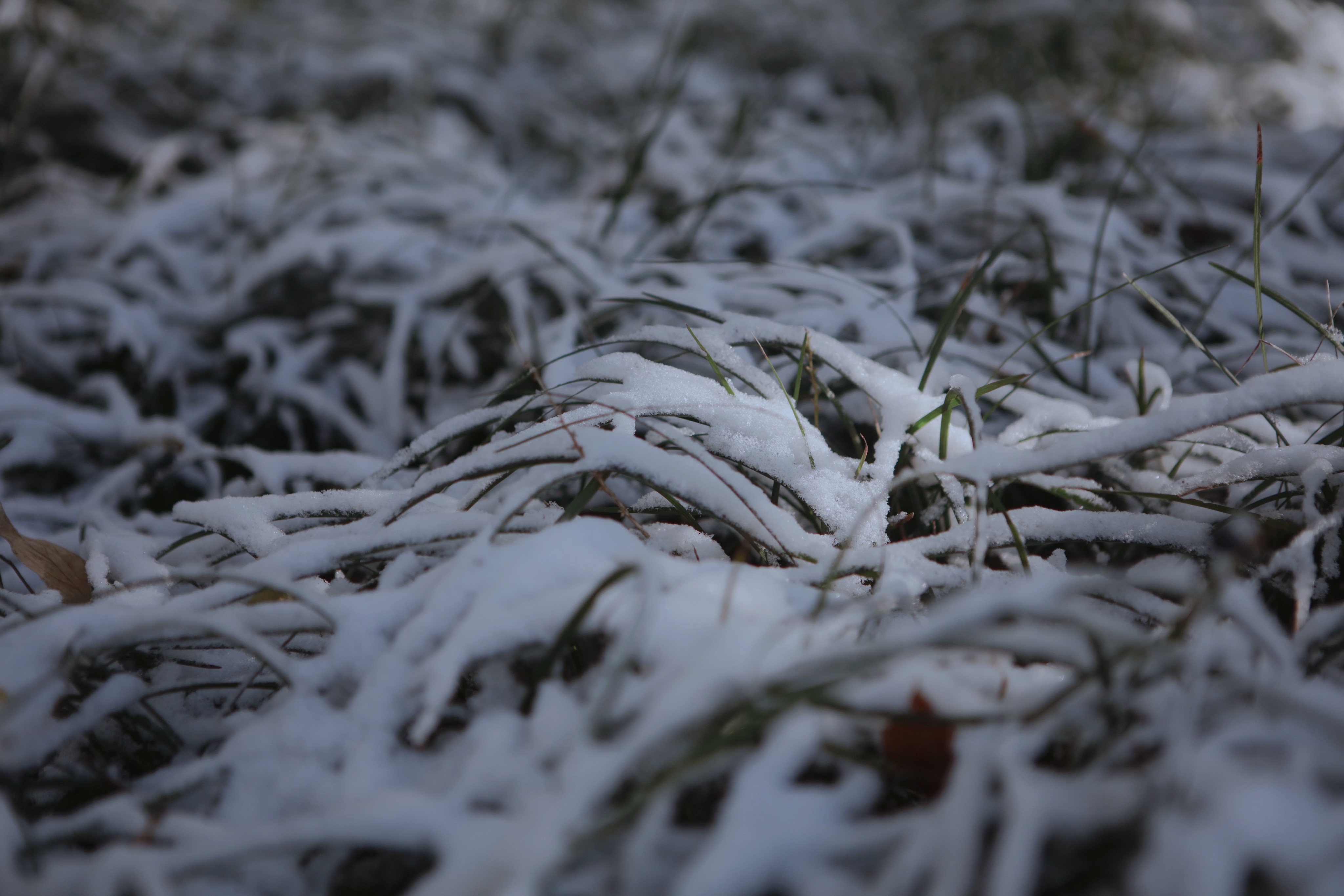 ԰���˵ĺ����Ծ�ָ�ϣ�