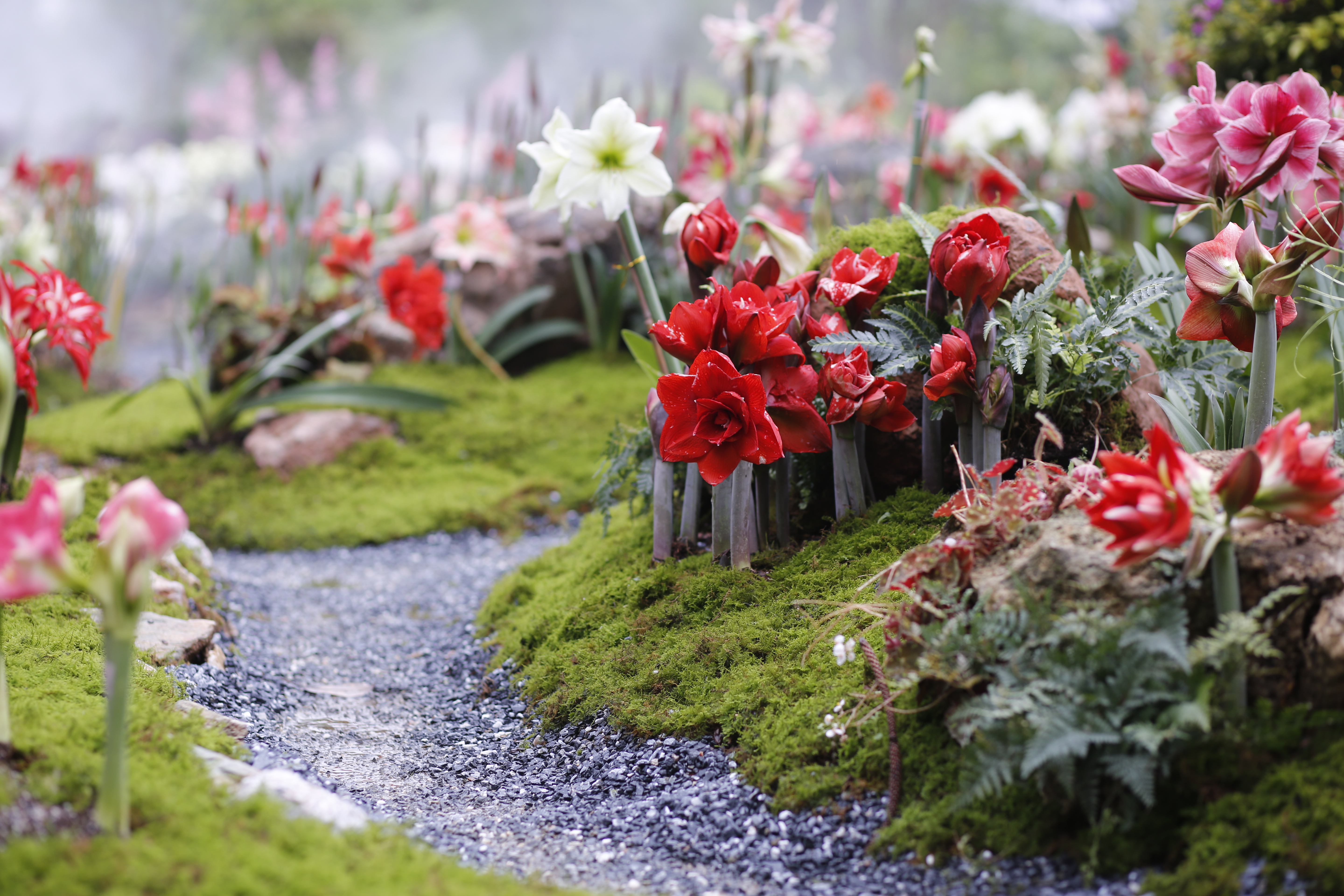 ���续��2022���ڻ�չ��һ��������������~