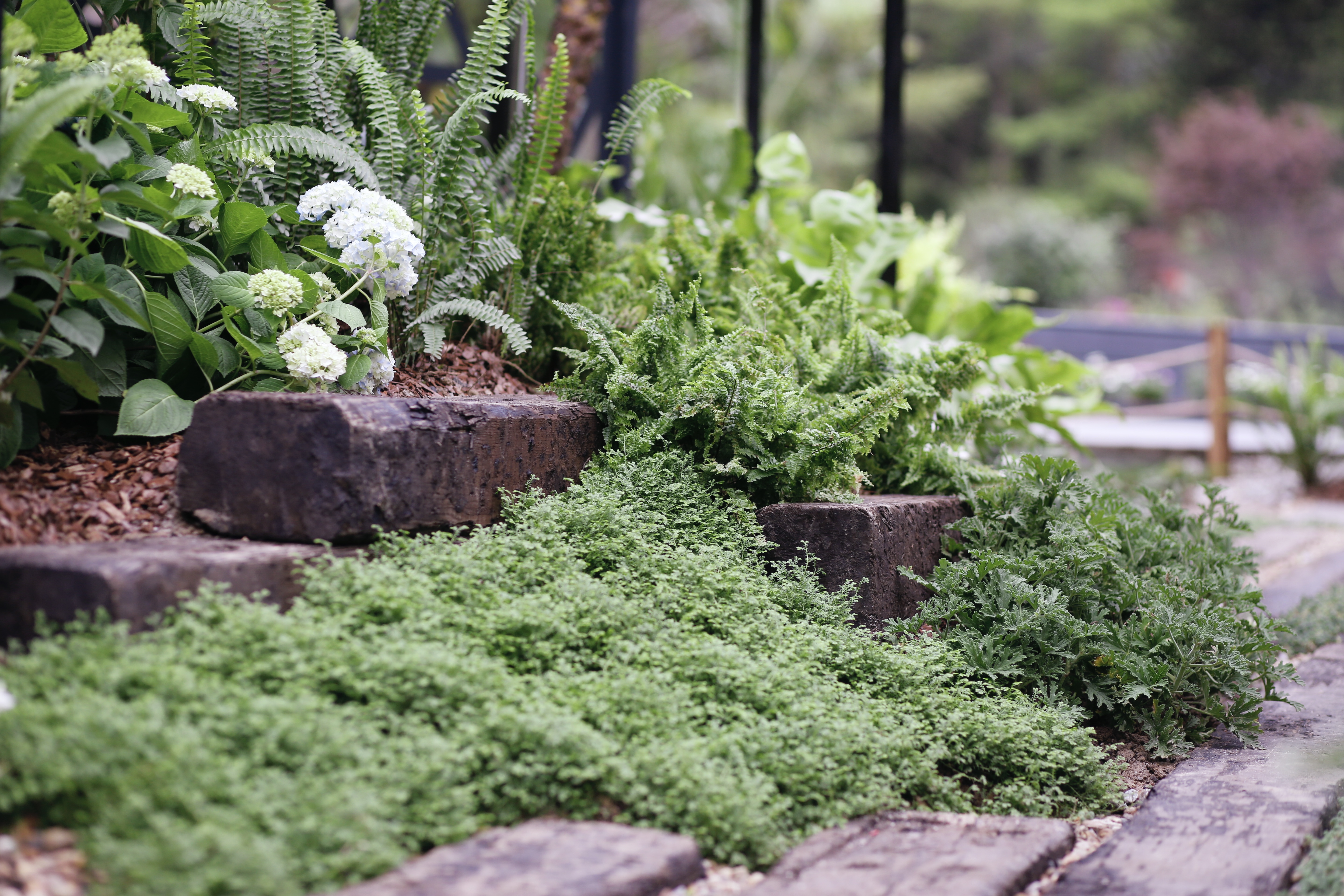 8��ˢ����٭Ȧ�Ĺ������ʦ��԰�����������·�����