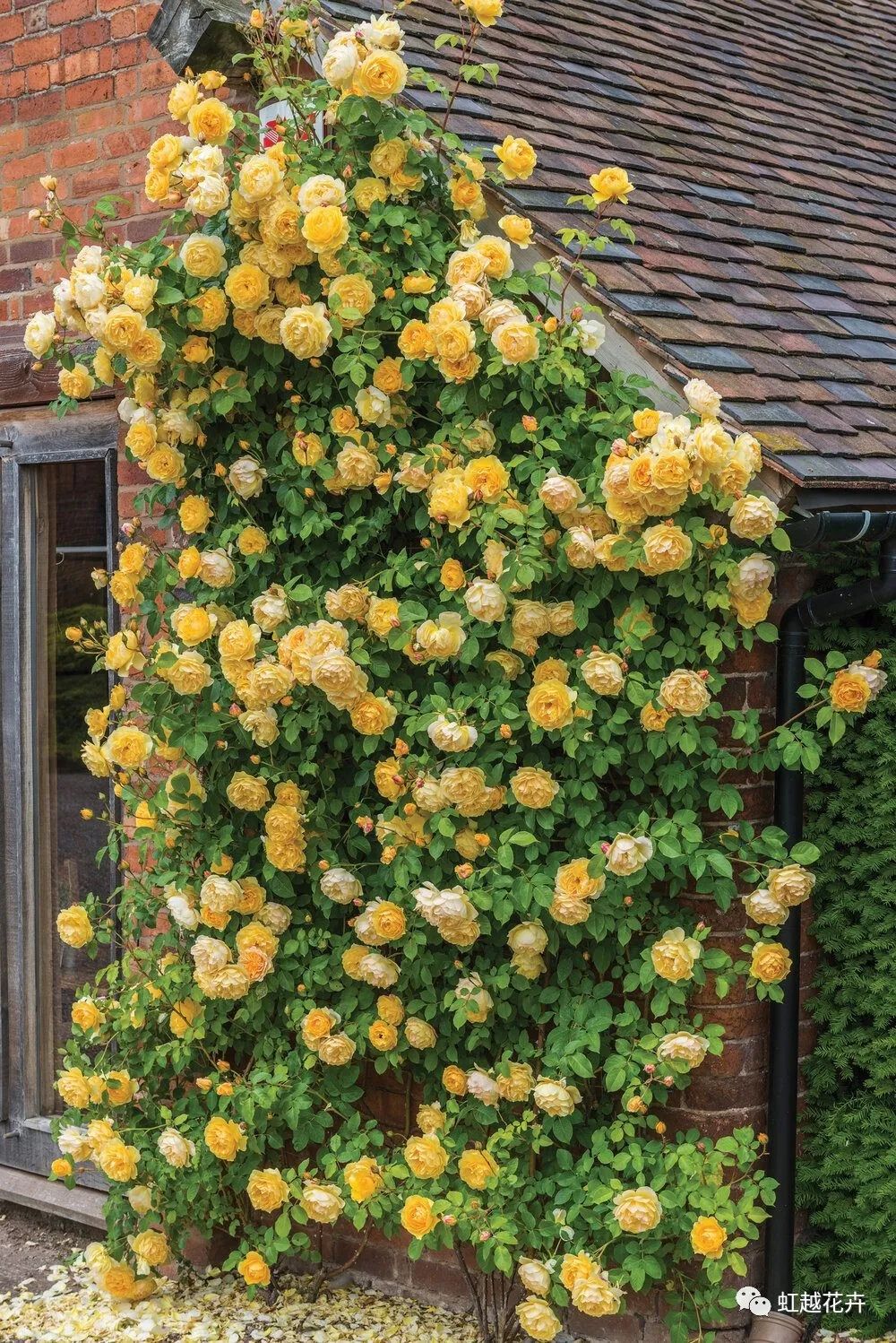 2000��������������ô�վ���ôϲ��õ����