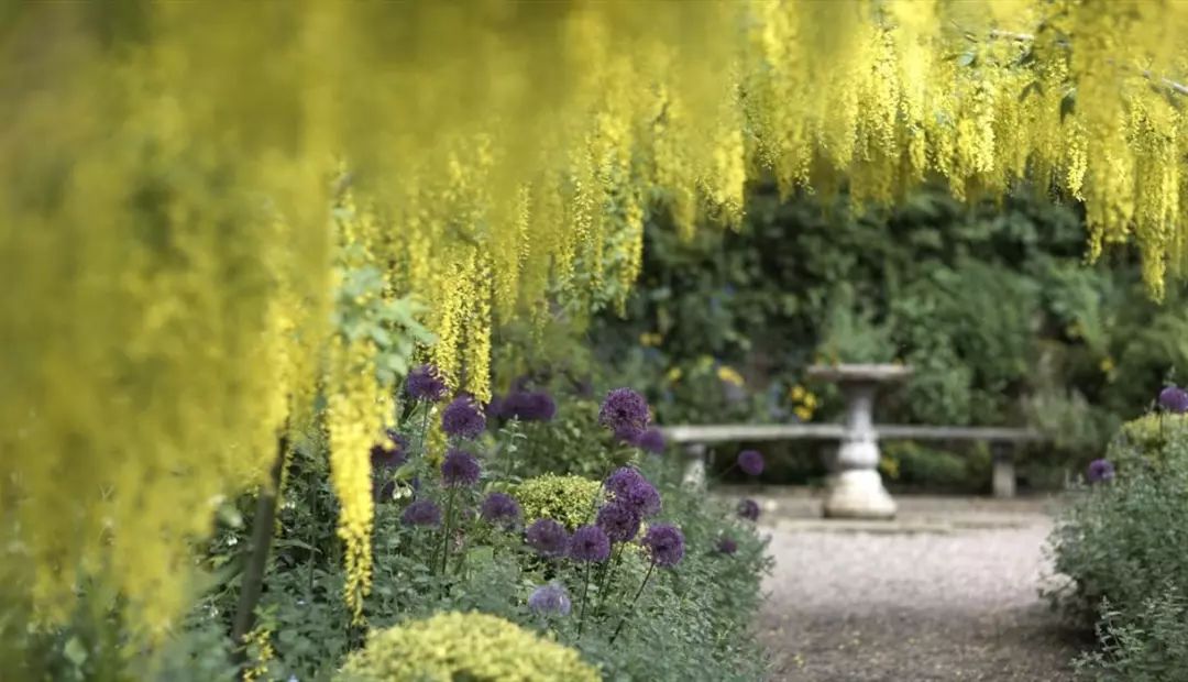 ��Ϊ���Ӵ��������µػ�԰����������80��