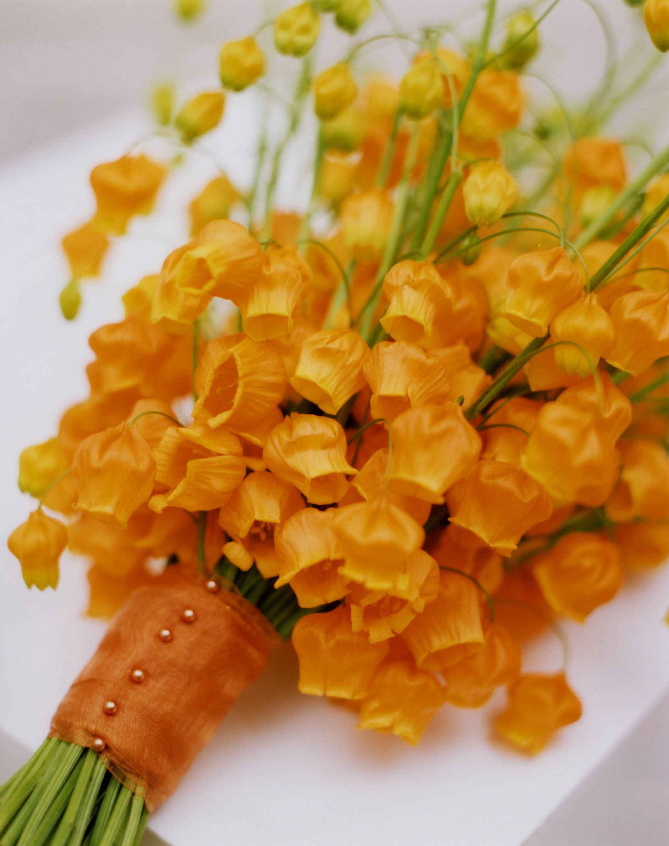 ��������С�����ġ��ٺϡ������þ���һ������