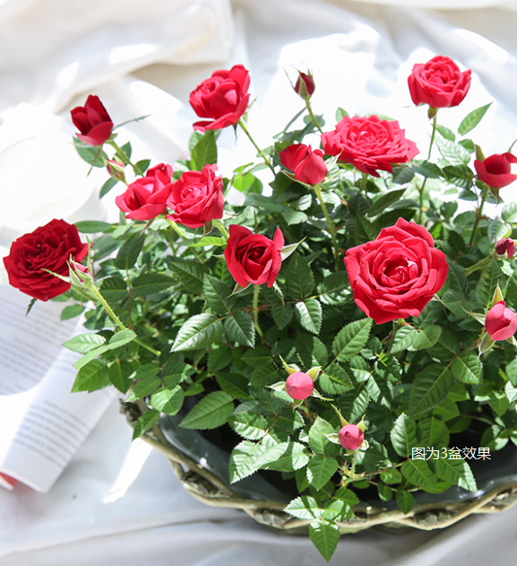 9.9Ԫ����ʵ�ֵ�õ����������ʵ�ж���֣�