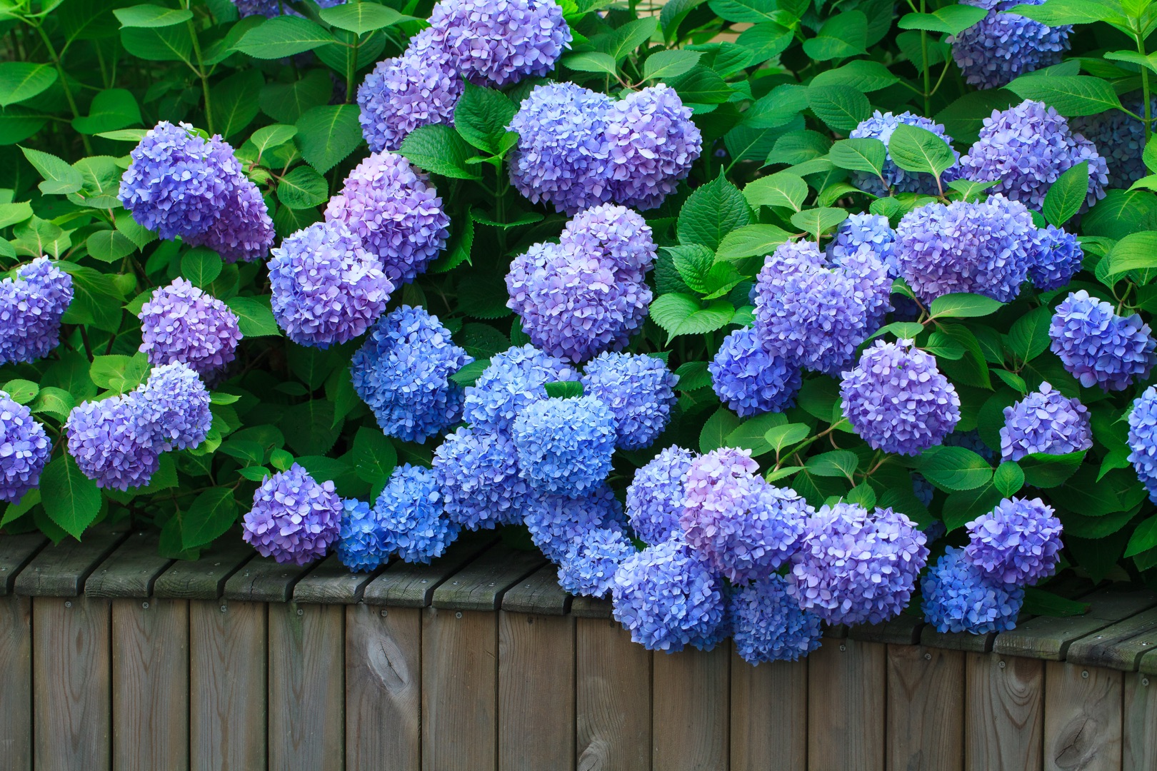 ��400Ԫ1�赽4Ԫ1�����޾�����ĵ�����̳��ô��