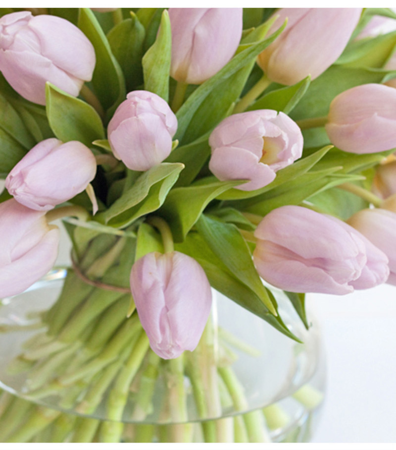 �������ҵ���������ʵ��ô����