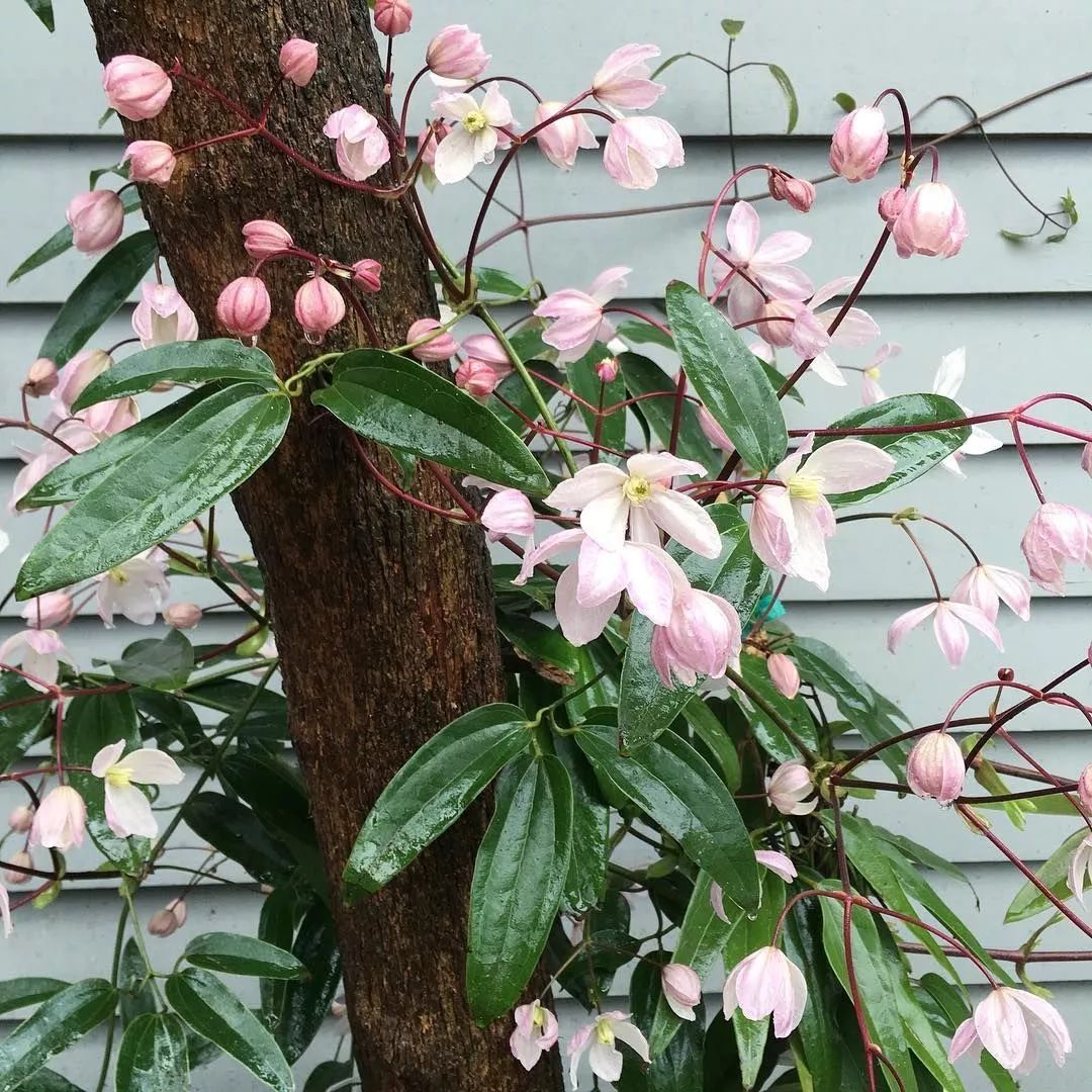 ����һ�泬�ȱ������λû�ǽ��