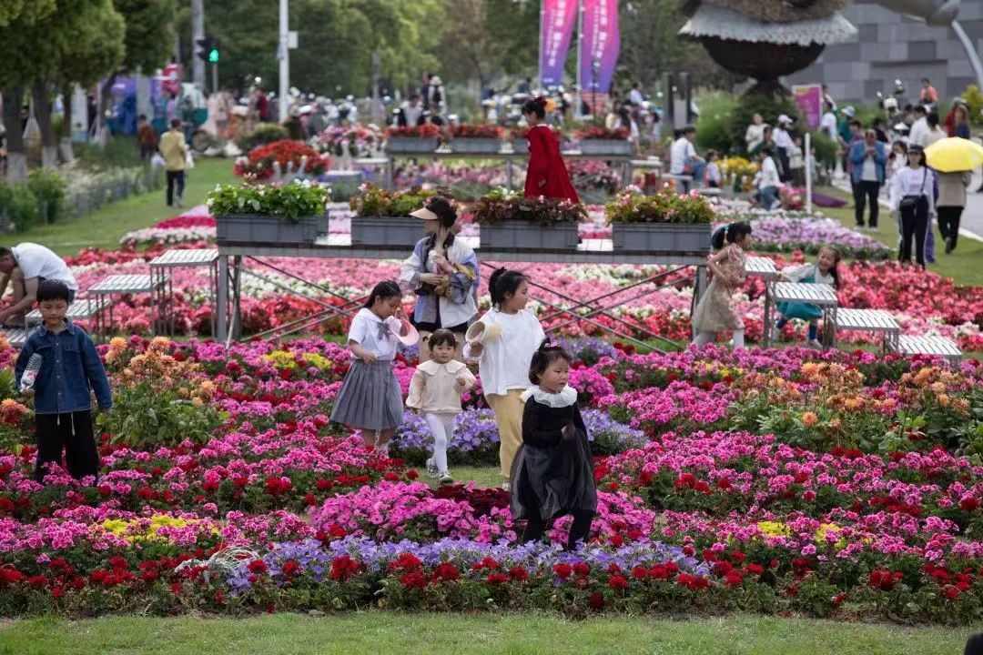 2024���»�԰���|����ָ��