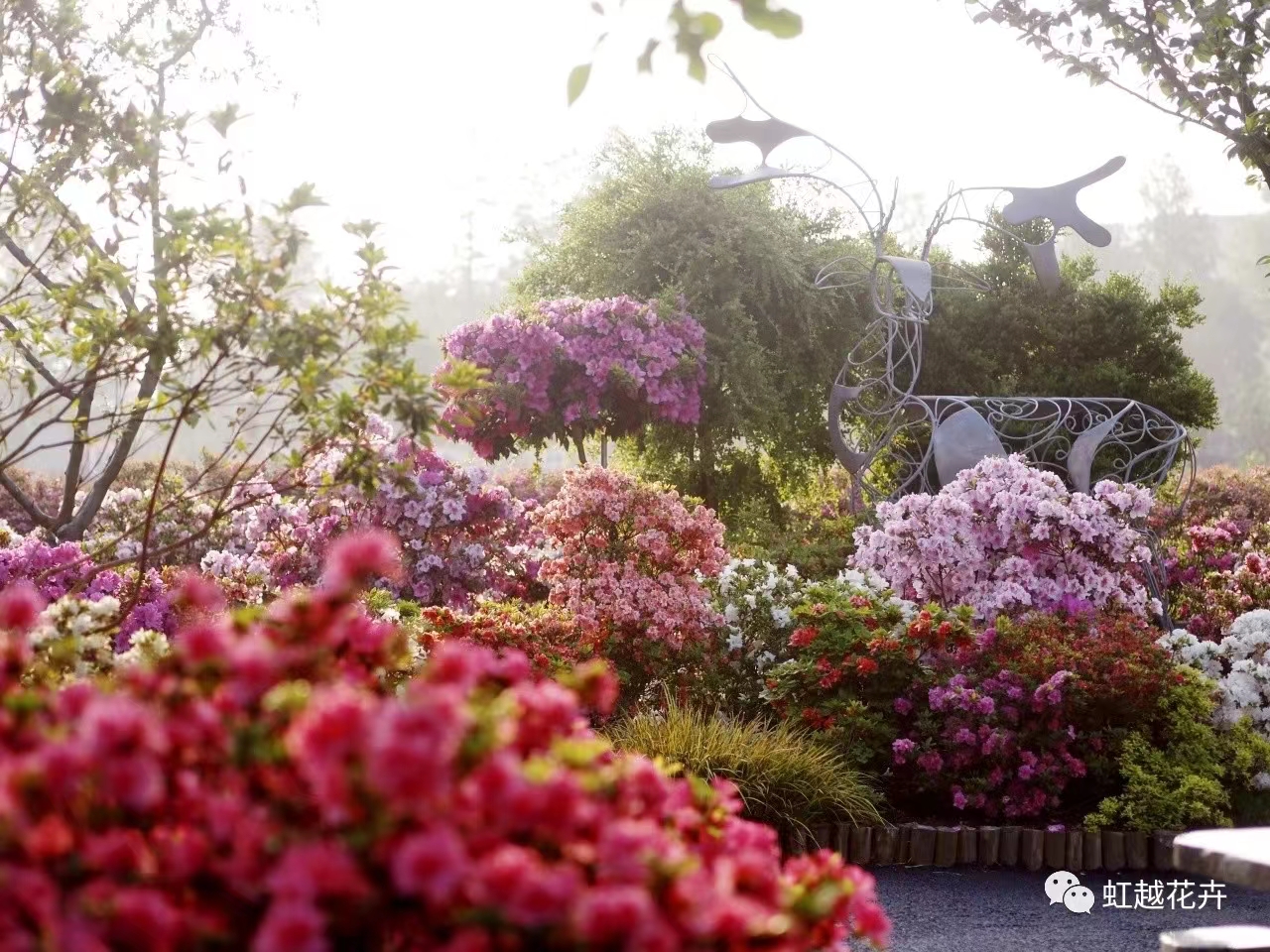 ����ΪʲôҪΪ����?�ž�άȨ