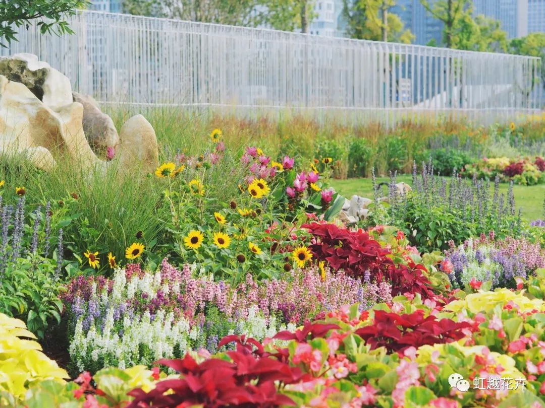 70000+�O��ά���ͻ��绨����9001cc��ɳ�Գ�Ϊ�������˾���ˢ����ʵ�ж����